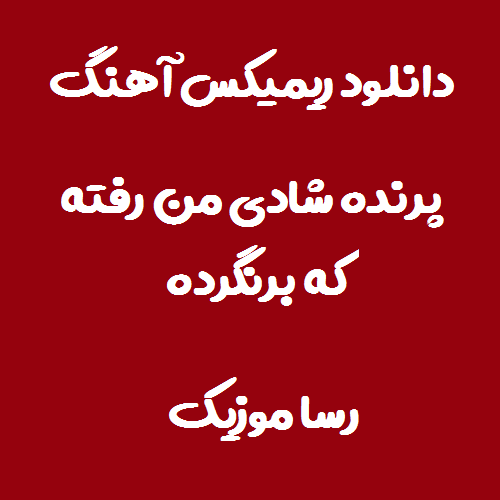 دانلود اهنگ پرنده شادی من رفته که برنگرده ریمیکس