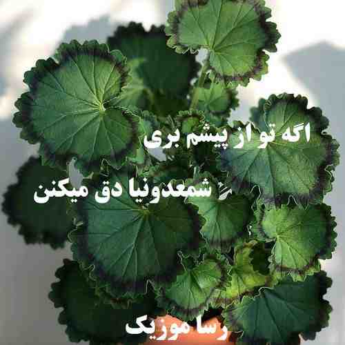 دانلود آهنگ اگه تو از پیشم بری