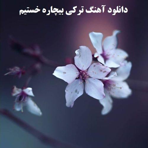 دانلود آهنگ ترکی بیچاره خستیم
