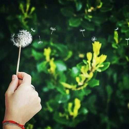 دانلود اهنگ اگه به من وفا کنی حاجتمو روا کنی