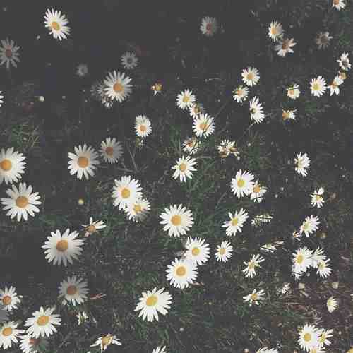 دانلود آهنگ تو صدات برای من لالایی با صدای بچه