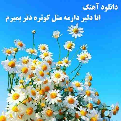 دانلود آهنگ اتا دلبر دارمه مثل کوتره دتر بمیرم