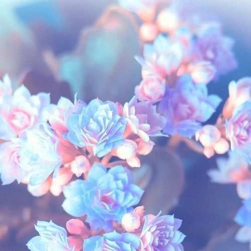 دانلود اهنگ بلوچی دلبر نی دلا گنده چیر چمی منا چاره
