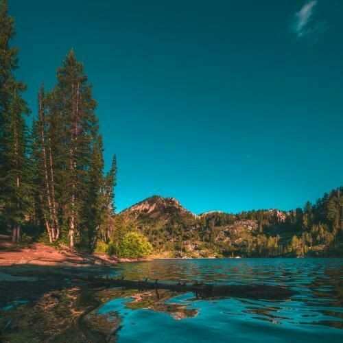 دانلود اهنگ ترکی ای ددم وای ددم با تفنگ
