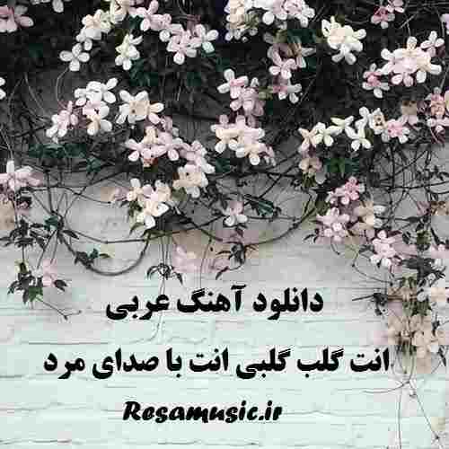 دانلود اهنگ عربی انت گلب گلبی انت ریمیکس با صدای مرد