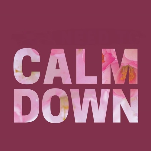 دانلود آهنگ calm down از krewella