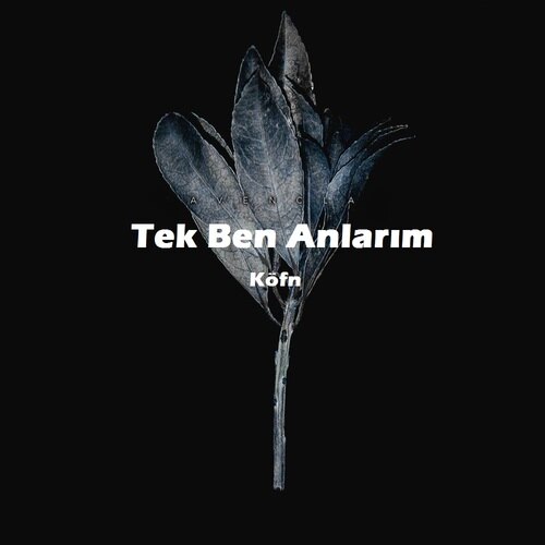 دانلود اهنگ ترکی her anin aklimda 