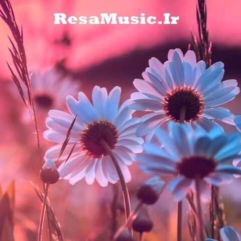 دانلود آهنگ ای مارالیم مارالیم با صدای زن