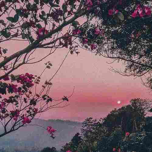 دانلود اهنگ خارجی بچ ای لایک دس