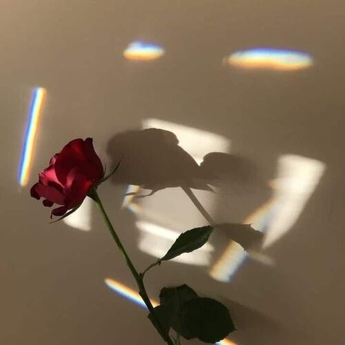 دانلود آهنگ ترکی گل من گریه نکن همه چی درست میشه