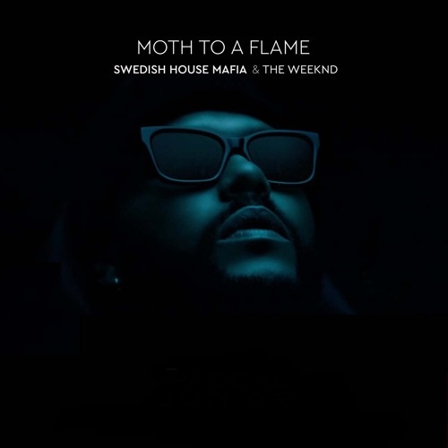 دانلود آهنگ moth to a flame