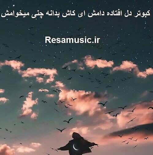 دانلود آهنگ کبوتر دل افتاده دامش ریمیکس