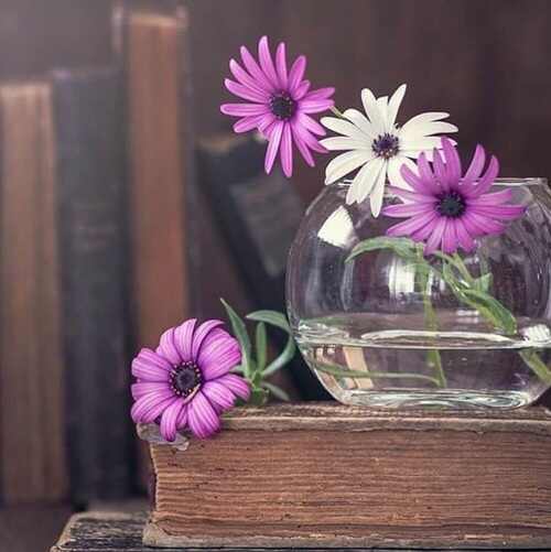 دانلود آهنگ اگه الماس بوی منه پسر طلائه ریمیکس