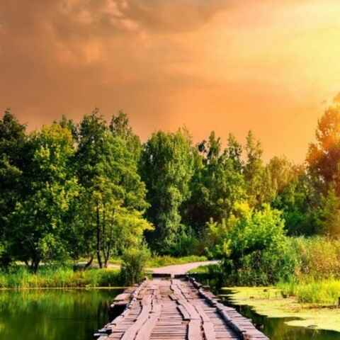 دانلود اهنگ برای تاجر غم شادی معنا نداره