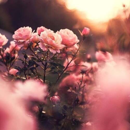 دانلود اهنگ ترکی اغلا کالبیم اغلا با صدای زن