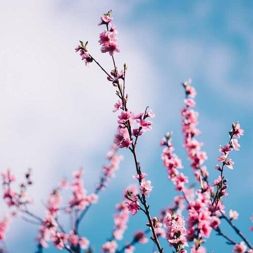 دانلود آهنگ ویرون بشی ای دل