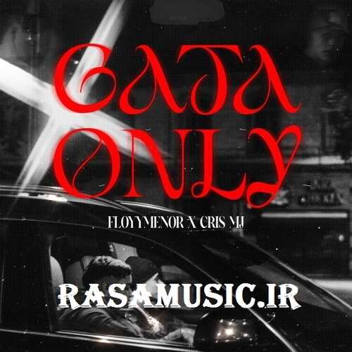 دانلود آهنگ gata only