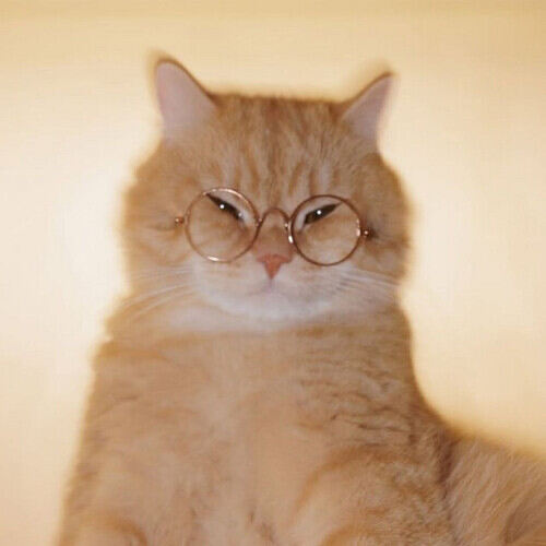 دانلود آهنگ lenar montagem miau